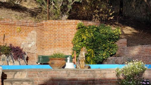 Merlo Apartment | El Solar de los Pájaros