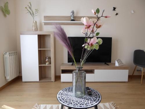 Lerma Apartment | El Tejo