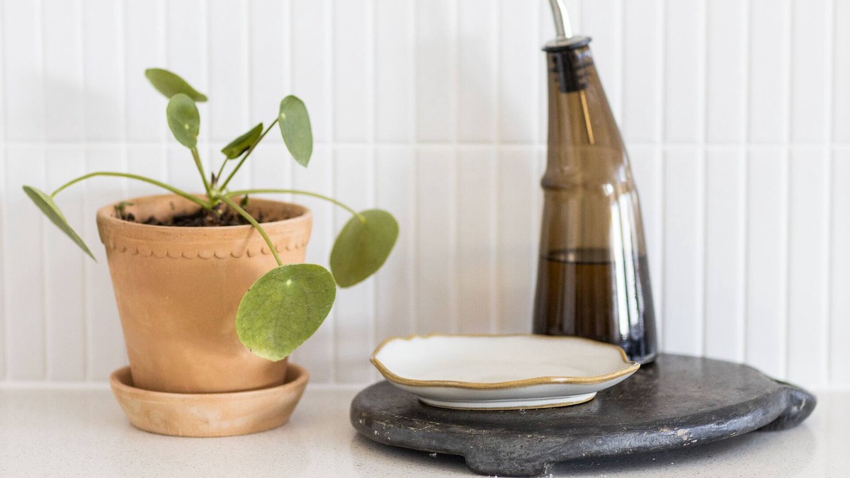 Knockrow House | EL Woods - Byron Bay Hinterland