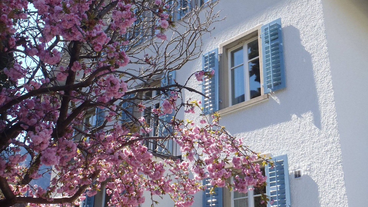 Chur Apartment | Elegant and spacious 1.5-room apartment (42m2) in an Art Nouveau villa!