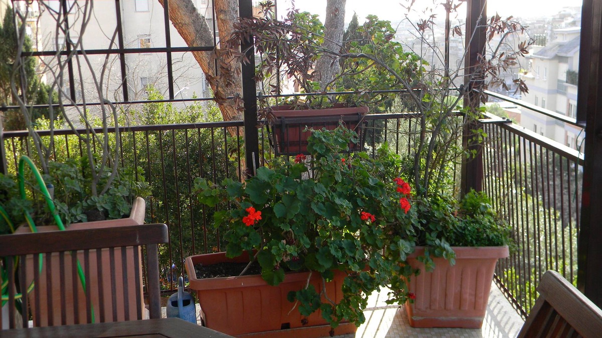 Gianicolense Apartment | Elegant and spacious, well-furnished apartment with 3 terraces, WiFi-free