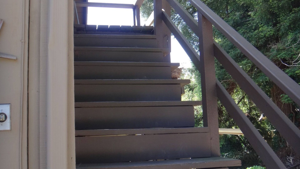 Eureka House | Elevated guest house : observe wildlife & near Zoo too!