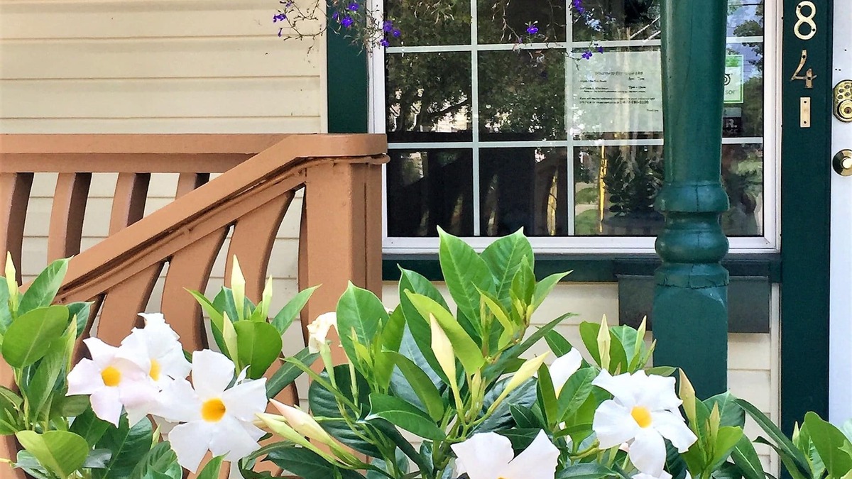 Niagara Falls Bed & Breakfast | Ellis House B&B, Niagara Falls