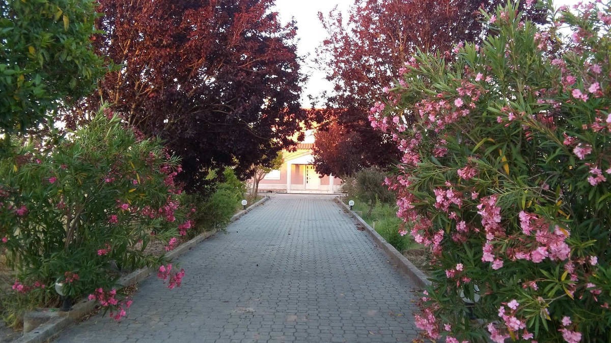 Grandola House | Elodie's Country House