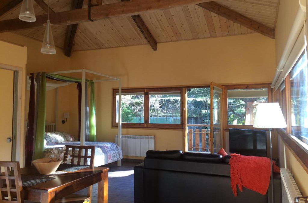 Ribes De Freser Apartment | Els Apartaments del bosc