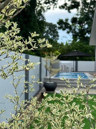 Kota Bharu House | elyssa homes