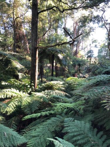 Emerald Cabin | Emerald Creek Cottages