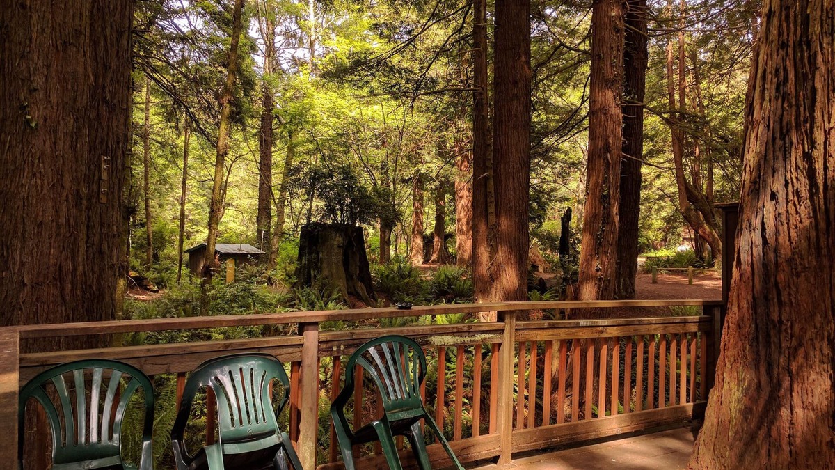 Trinidad Cabin | Emerald Forest Cabins