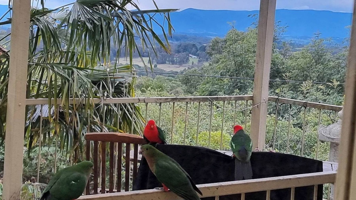 Emerald House | Emerald Kookaburra Hideaway