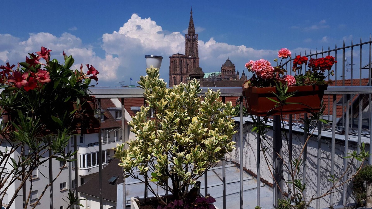 Krutenau Apartment | emilie 145m2 ac 1 free parking 4br 2bth