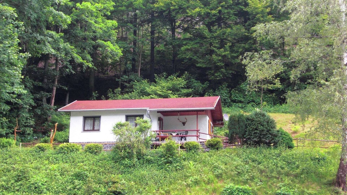 Engenstein House | Engenstein Woodland Escape