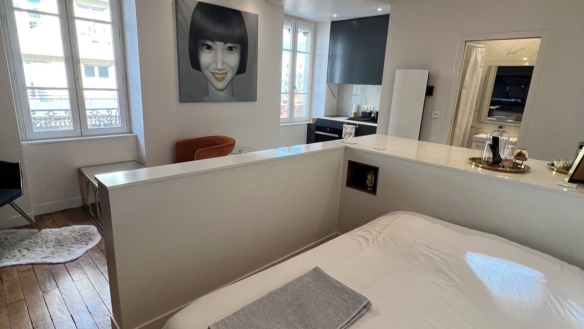 Jean Moulin - Marius Berliet Apartment | Enjoy Archi Lyon by camalan!