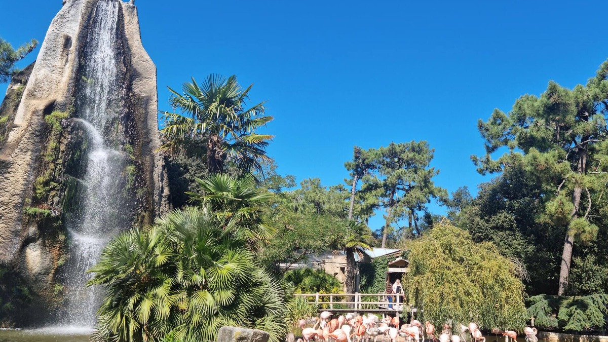 Semussac House | Enjoy peace and relaxation in this large holiday home with an inviting garden.