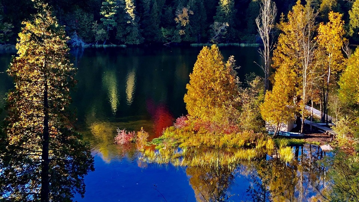 Newaygo Cabin | Enjoy the beautiful views of the Muskegon River near Hardy Dam and Dragon Trail