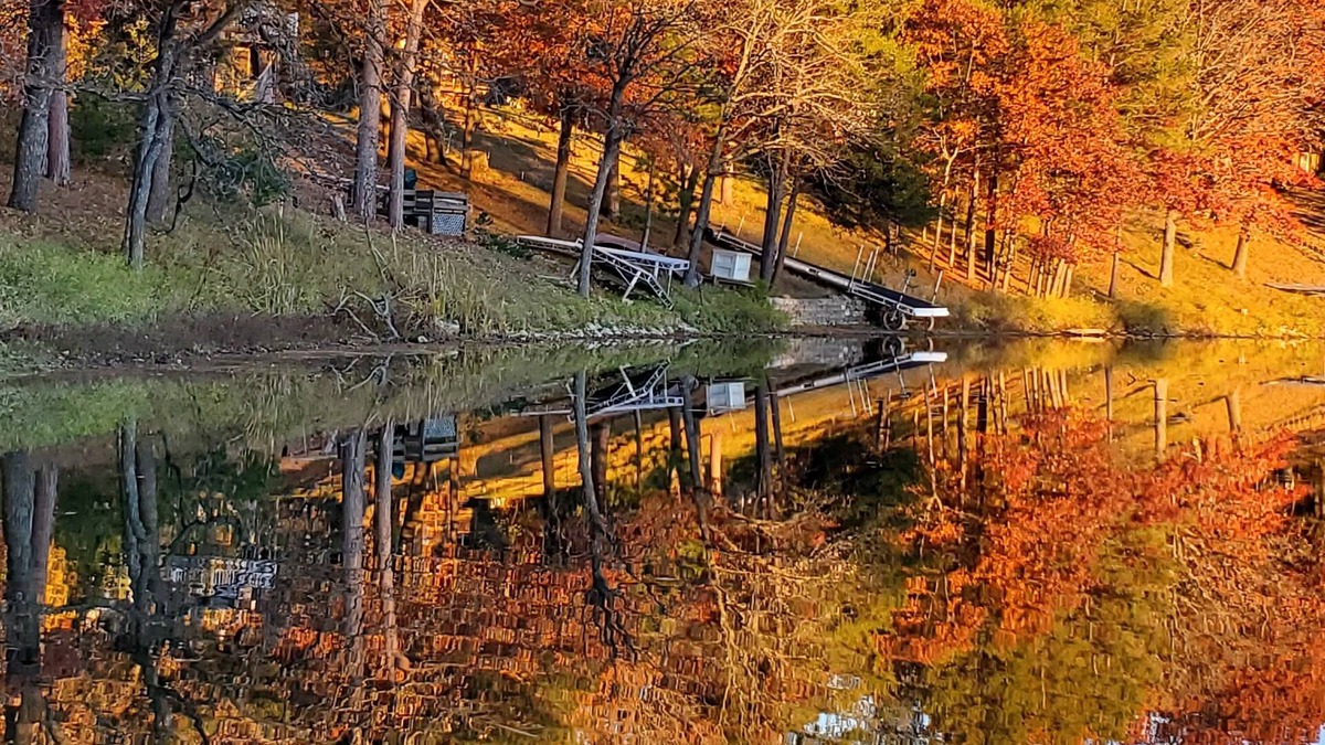 Pillager Resort | Enjoy the Fall Colors "Lily Pad" cabin