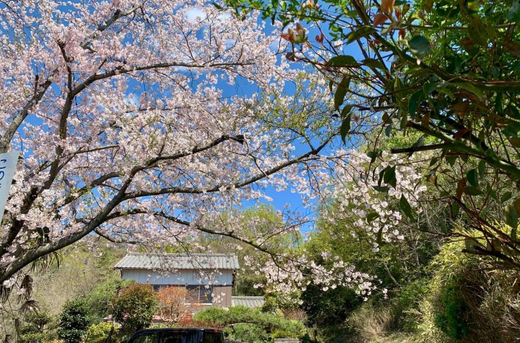 Tamano Cabin | Ensoh
