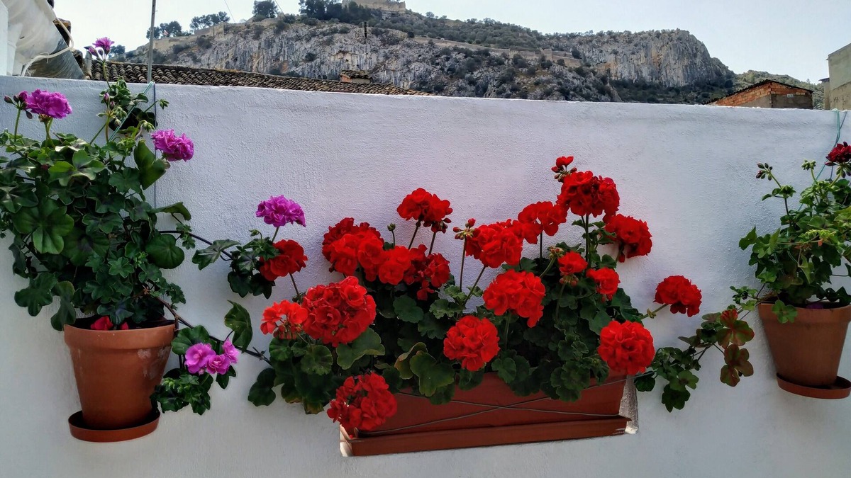 Xativa Apartment | Entire apartment in El Casco Antiguo