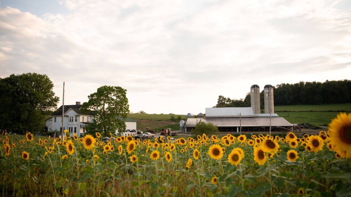 Dickerson Run Other | Entire Farmhouse -Maple Bottom Farm Bed & Breakfast