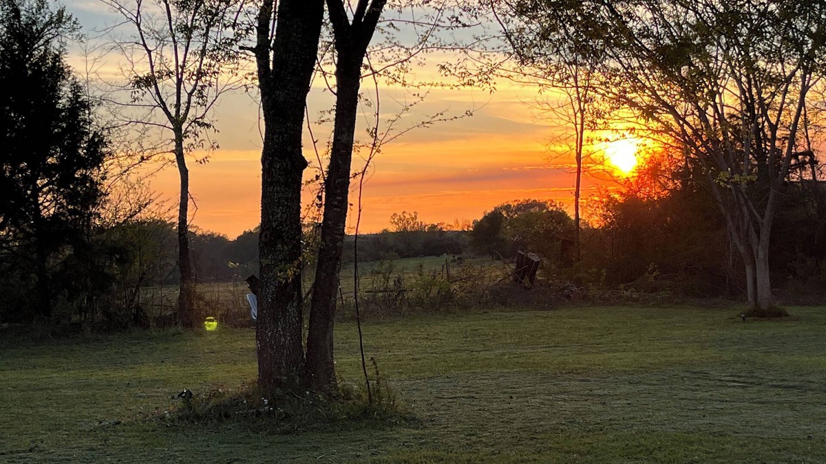 Moundville House | Entire home, cleaning fees already included. Pet friendly.