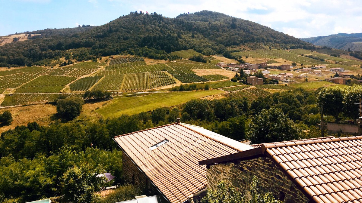 Vaux-en-Beaujolais Apartment | Entire home - 2-room apartment