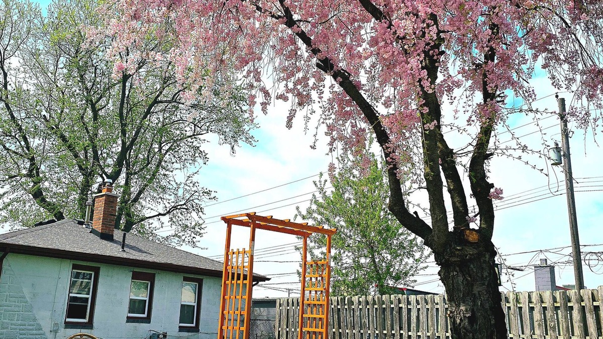 Ferndale House | Entire LARGE property, house w WiFi, pool, mini golf, hot tub, and new RV!
