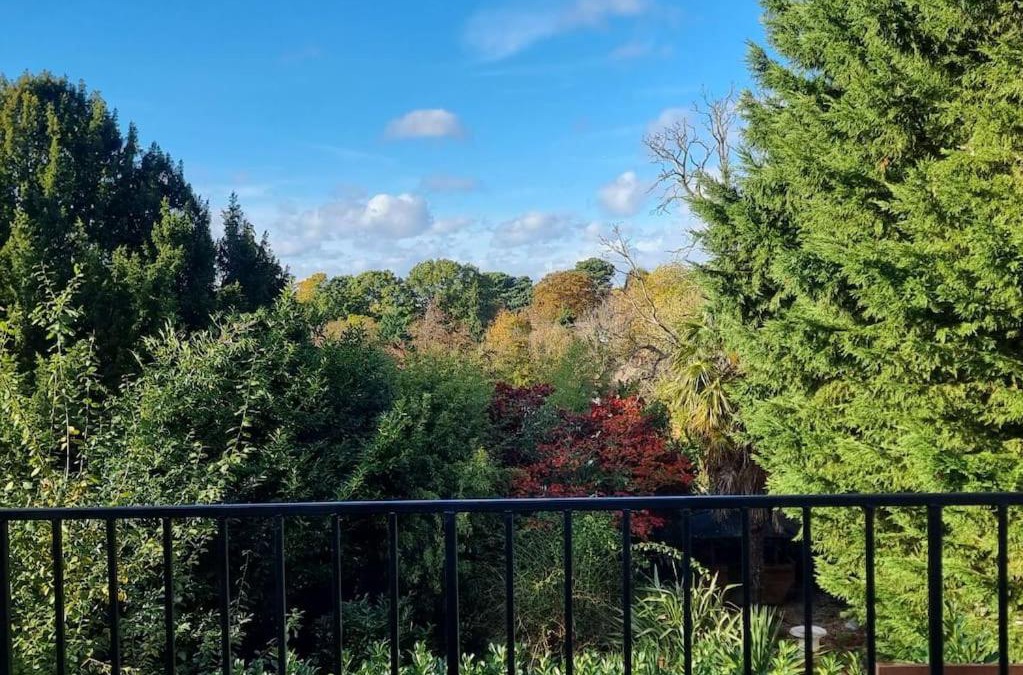 London Borough of Bromley House | Entire Spacious 4 Bedroom Zen House with Garden View