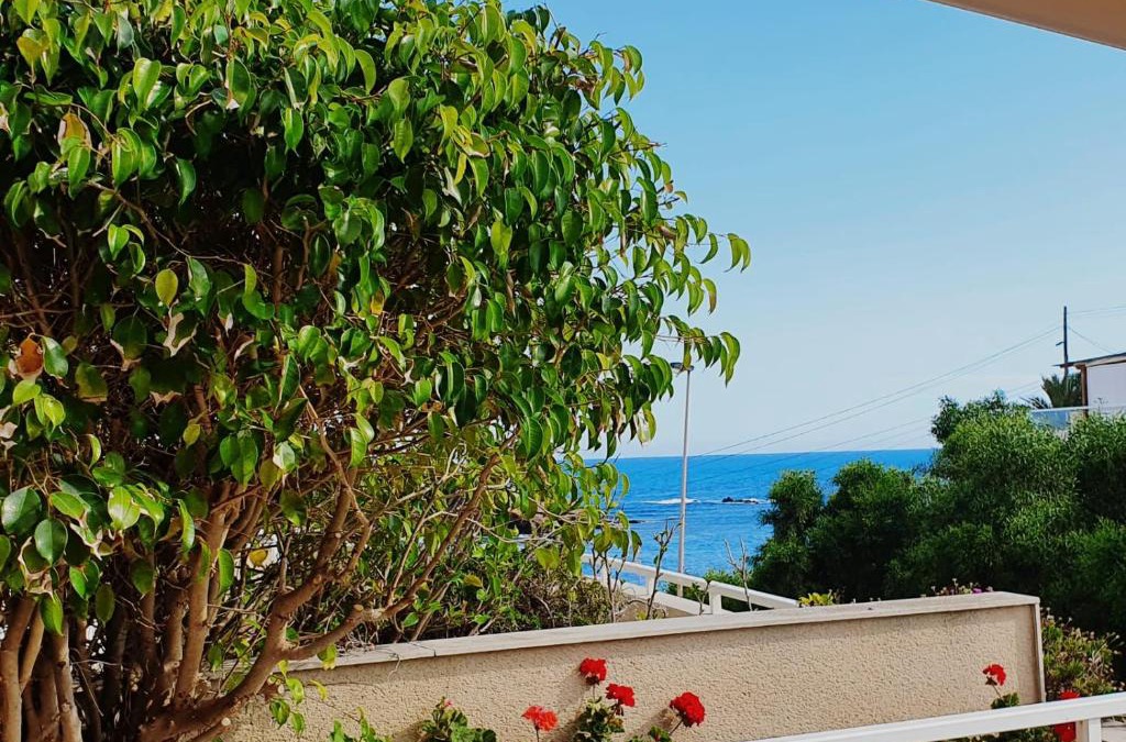 Cala Reona Apartment | Entrecalas Cabo de Palos