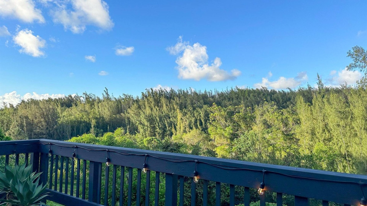 Pupukea Apartment | Epic Forest View, A/C, Fruit Trees, Beach 5m drive