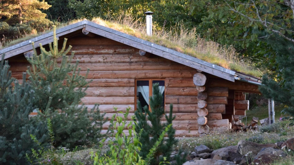 Fay-sur-Lignon Cottage | "Epicéa": unusual log cabin in the heart of Auvergne nature