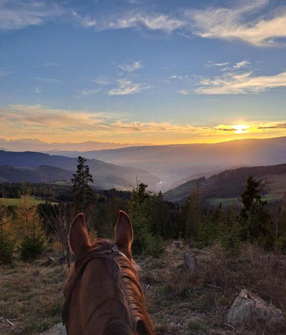 Frantschach-Sankt Gertraud Apartment | Erlebnisbauernhof Gutschi Ranch