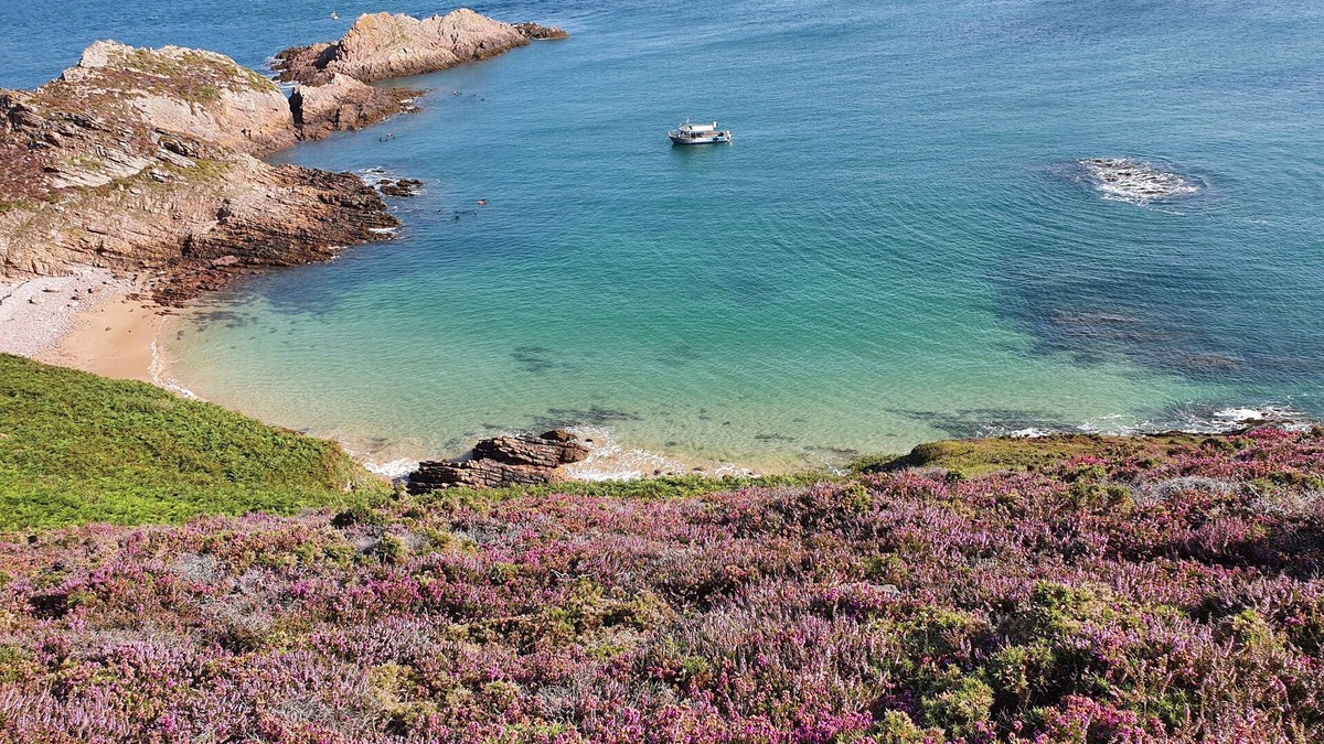 La Bouillie House | Erquy Maison au Calme de la Campagne à 5min de la Plage Caroual Prés de 3 Golfs