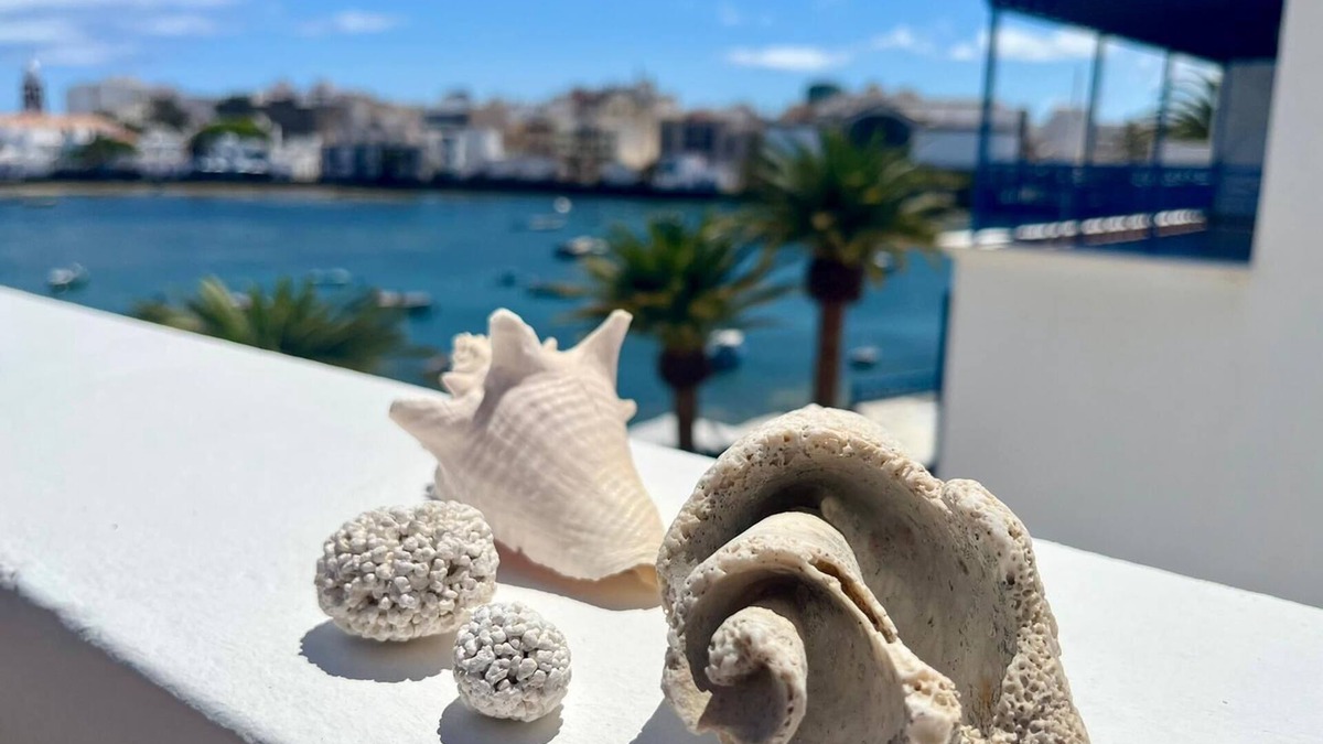 Arrecife House | CASA del CHARCO 2.0