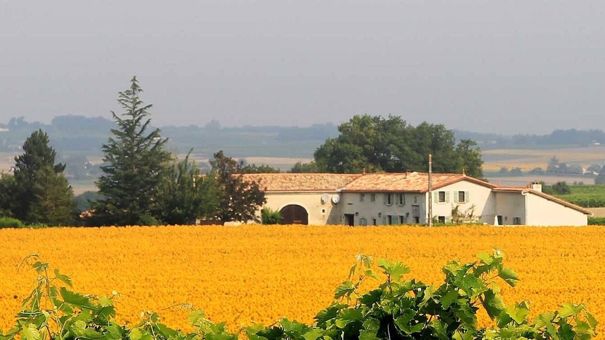 Leoville House | *Escape to breath-taking views and the gentle Charente-Maritime climate*