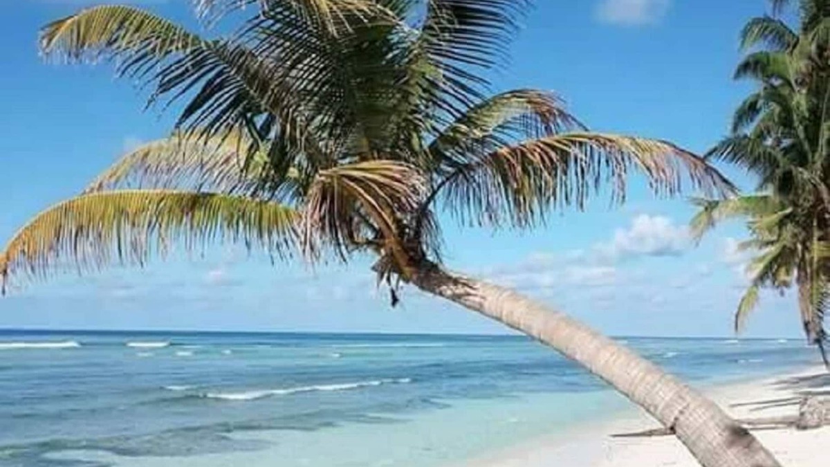 Hithadhoo Cabin | Escape to Paradise at Charming Holiday Lodge, Addu City Meedhoo in Maldives