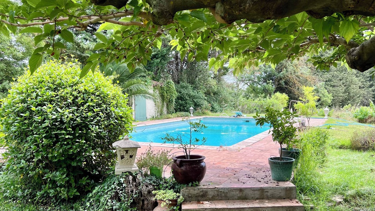 Cuers House | Escape to Provence: a charming cottage in the heart of olive groves