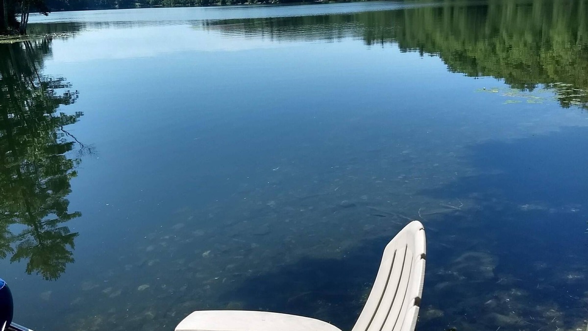 Forest Dale House | Escape to Quiet Fern Lake, 15 Minutes from Middlebury