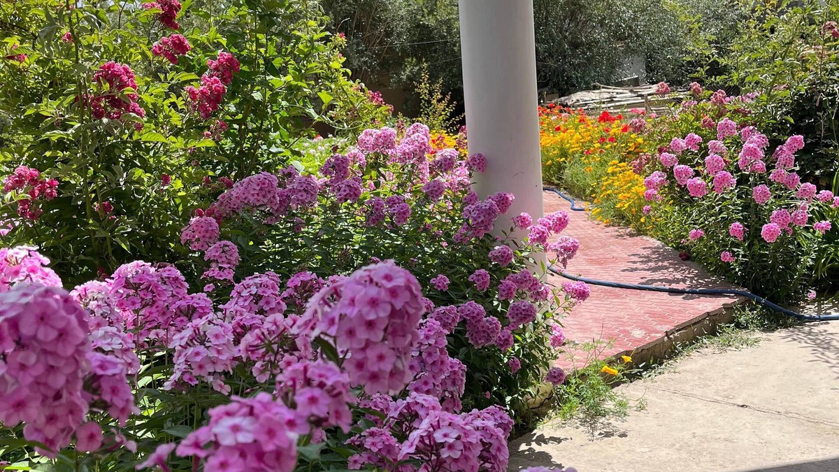 Leh Apartment | "Escape to Serenity: A Charming Garden Home Stay Retreat"