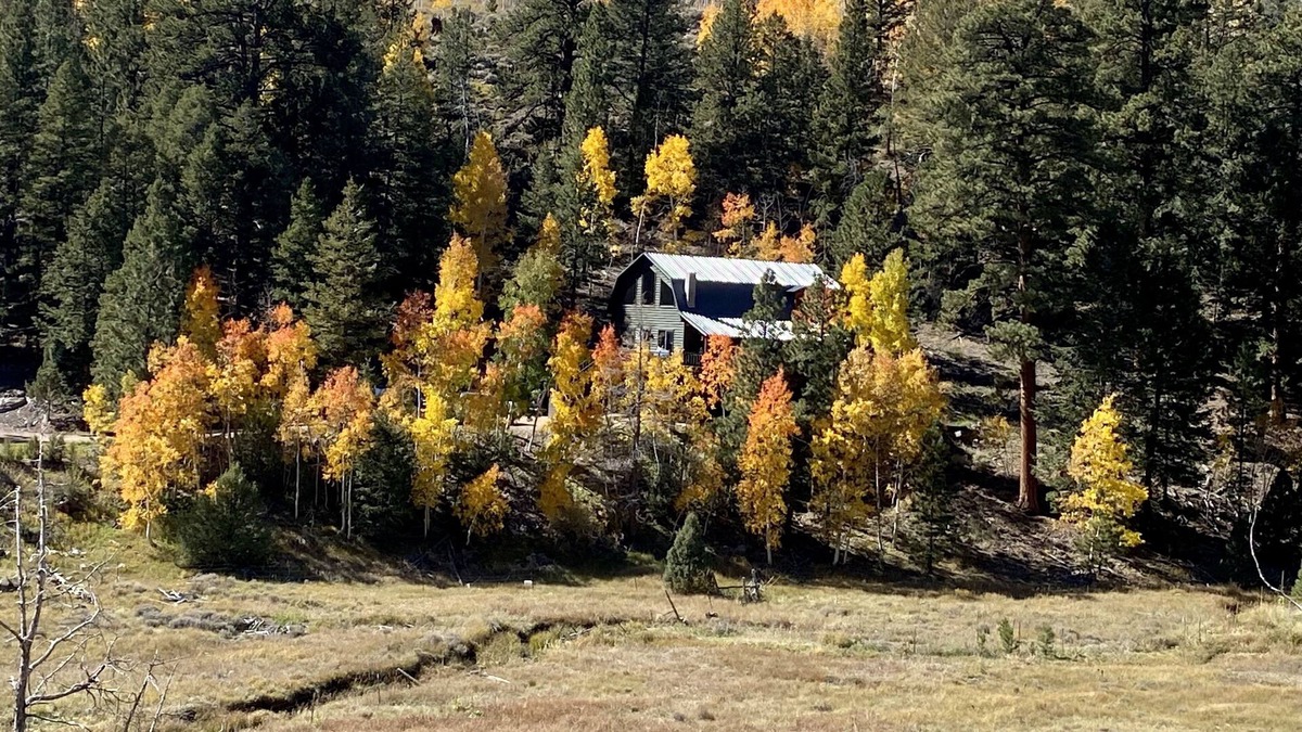 Mammoth Creek Cabin | Escape to serenity! Quiet, breathtaking views, and access to public land.