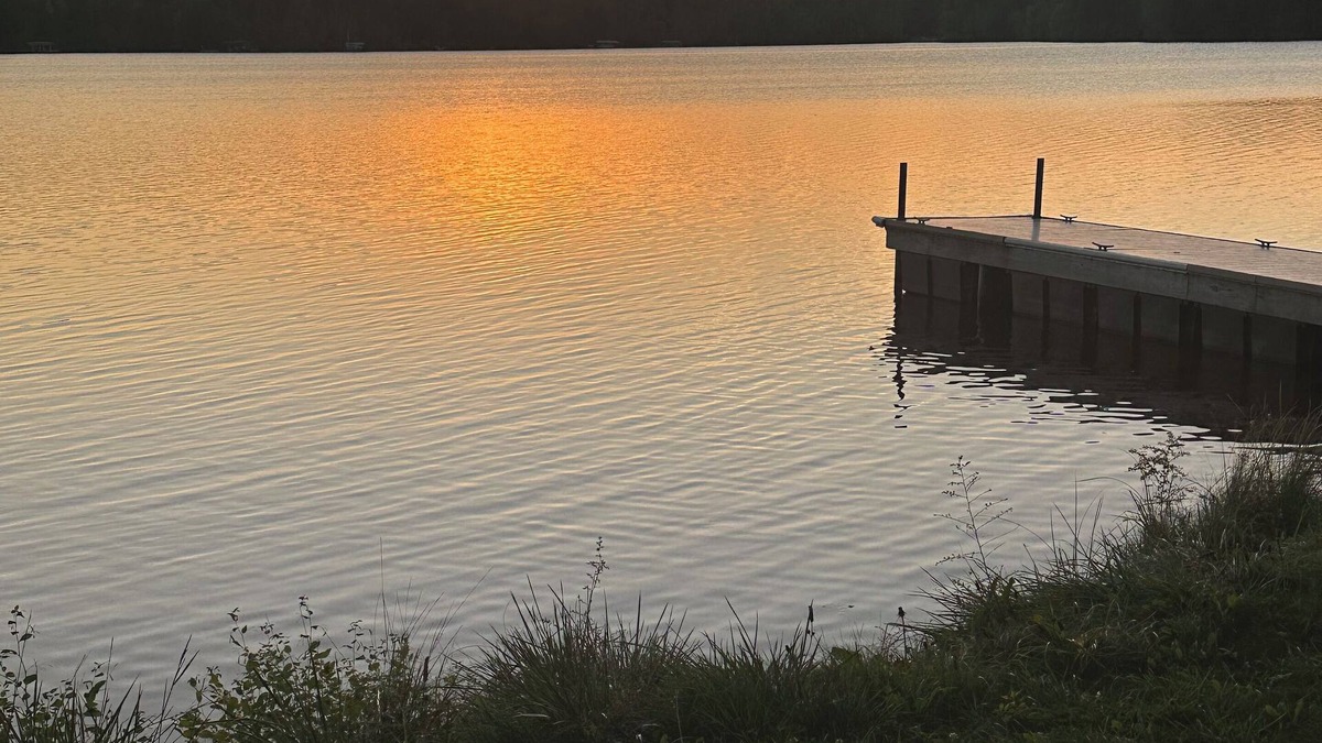 Athelstane House | Escape to The Woodland Nest: A Modern Cabin Retreat with Rustic Charm & Comfort!