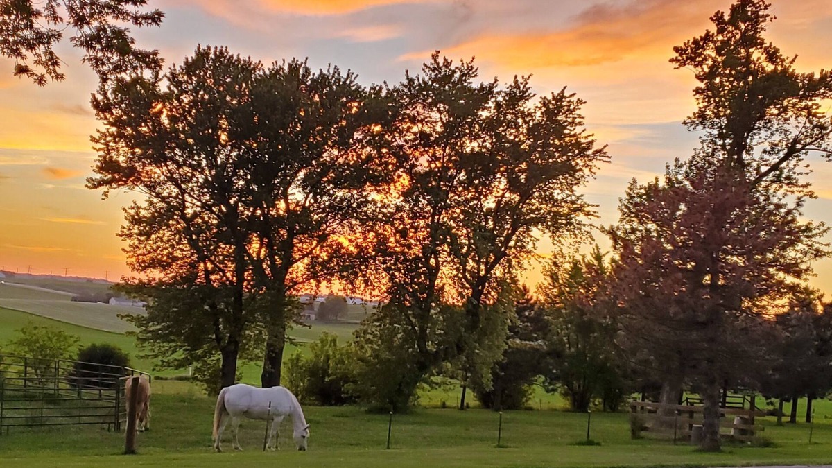 Morrisonville House | Escape to tranquility – your countryside haven, and at times with a horse or two