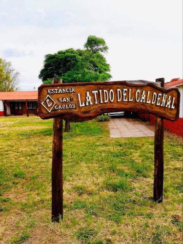 Luan Toro Apartment | Estancia San Carlos