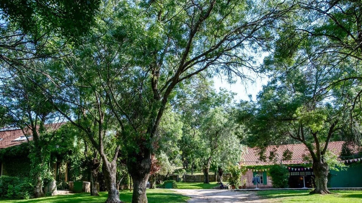 El Escorial House | Estate