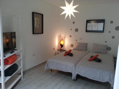 La Santa House | estudio la santa