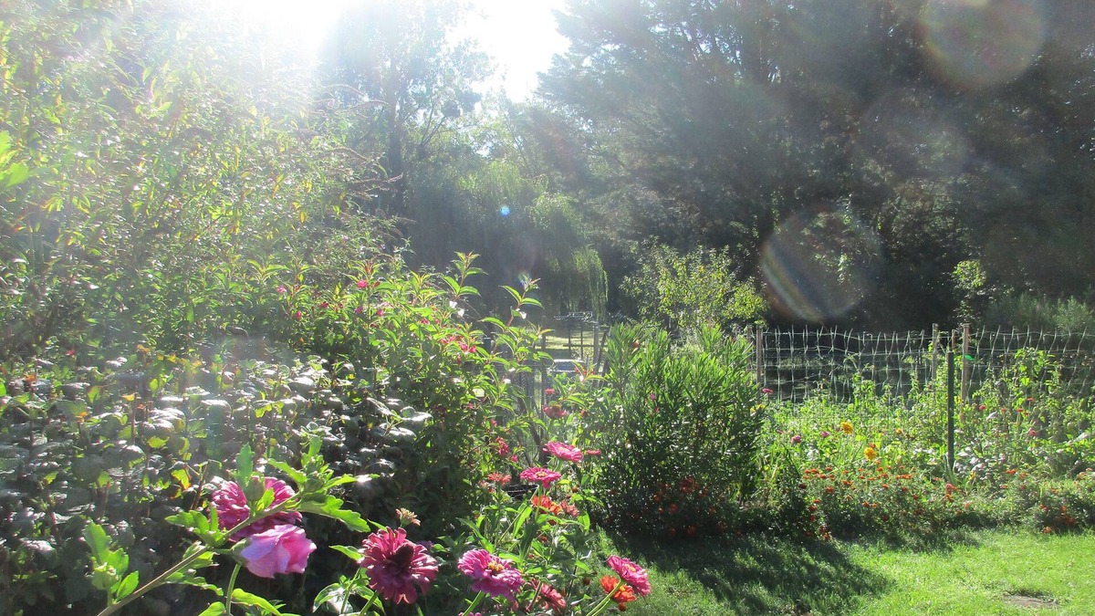 Neuvy-sur-Barangeon Bed & Breakfast | Etape Sologne, flexible accommodation