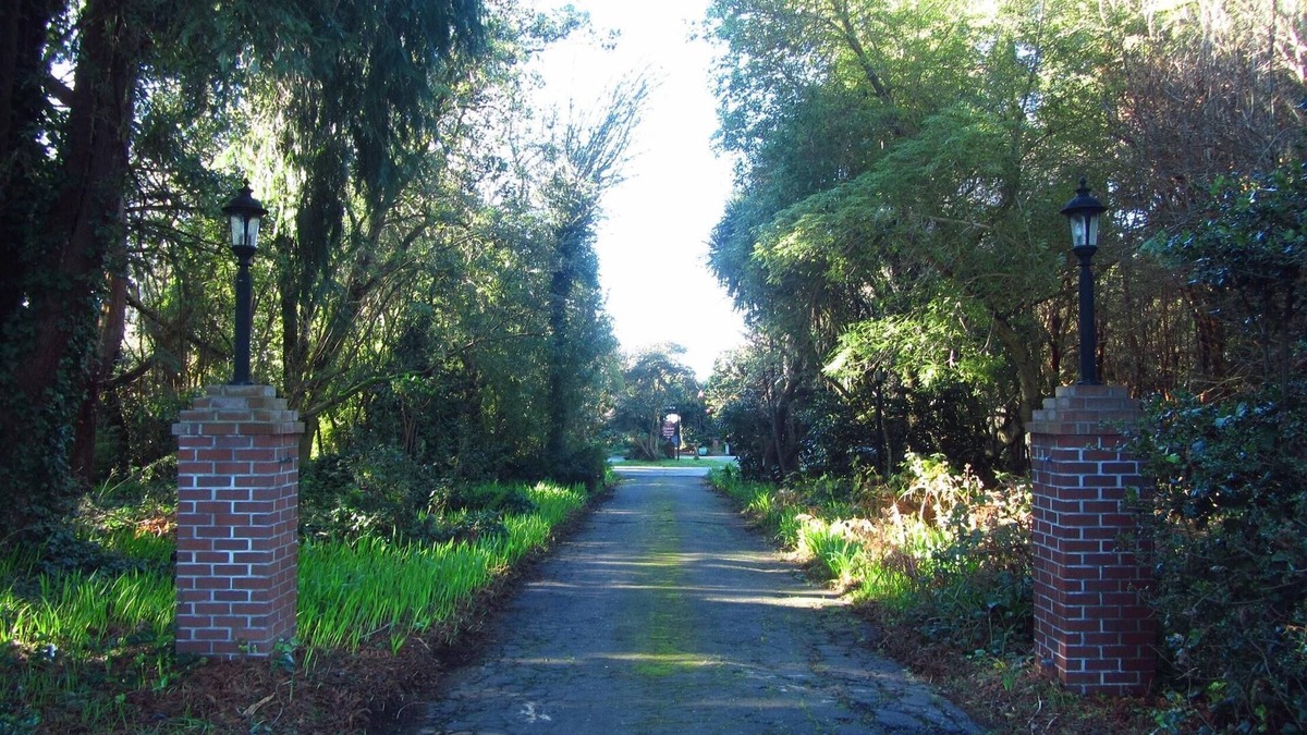 Eureka House | Eureka, Bay Views, Surrounded by Trees. Weddings, Retreats, Reunions, Events too