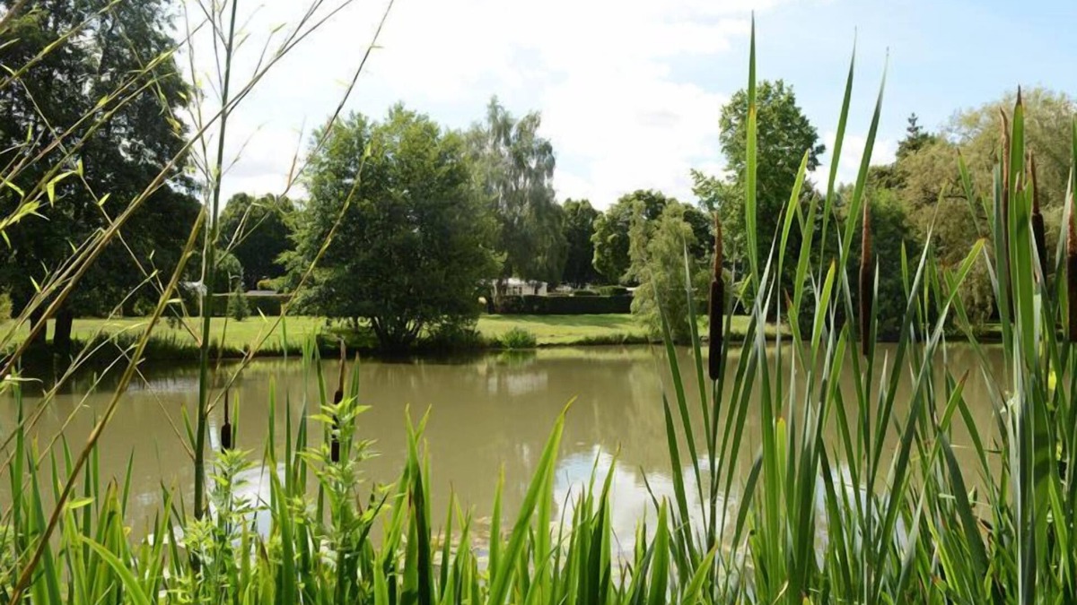 Verdelot House | Evasion en Champagne, Proche de Paris et ses Parc, Provin