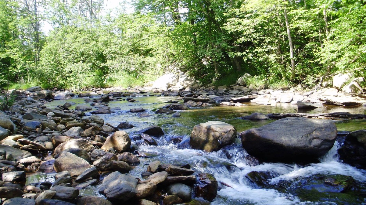 Weston House | Evergreen is a family friendly retreat located in Weston Vt.