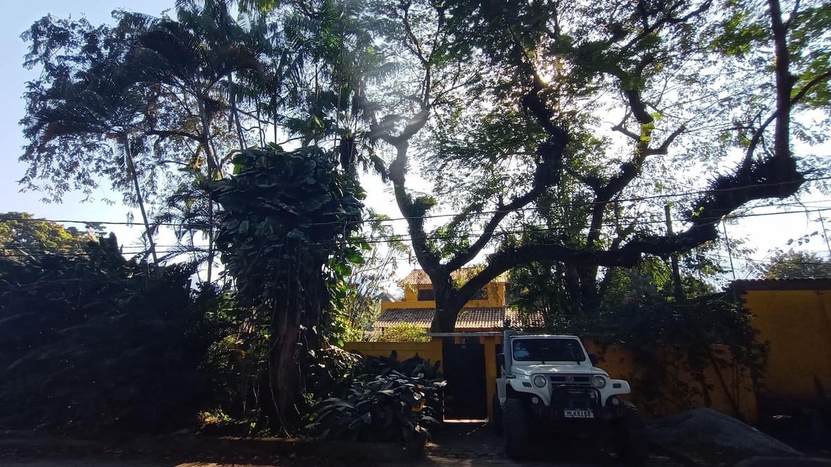 Vargem Grande House | excellent house