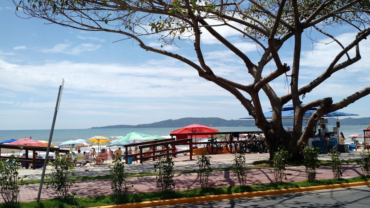 Tabuleiro dos Oliveiras Apartment | Excellent property for you to enjoy your vacation