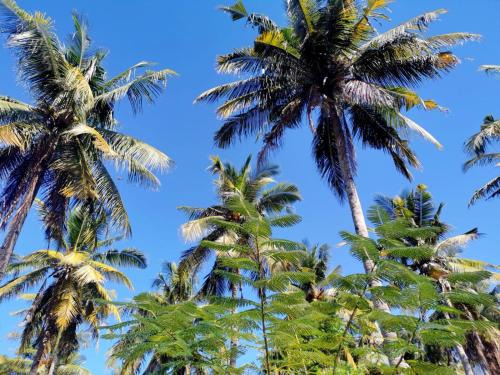 Gili Meno House | Exotic house